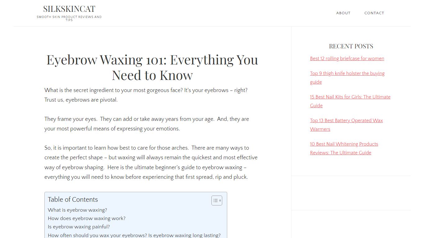 Eyebrow Waxing 101: Everything You Need to Know - Silkskincat