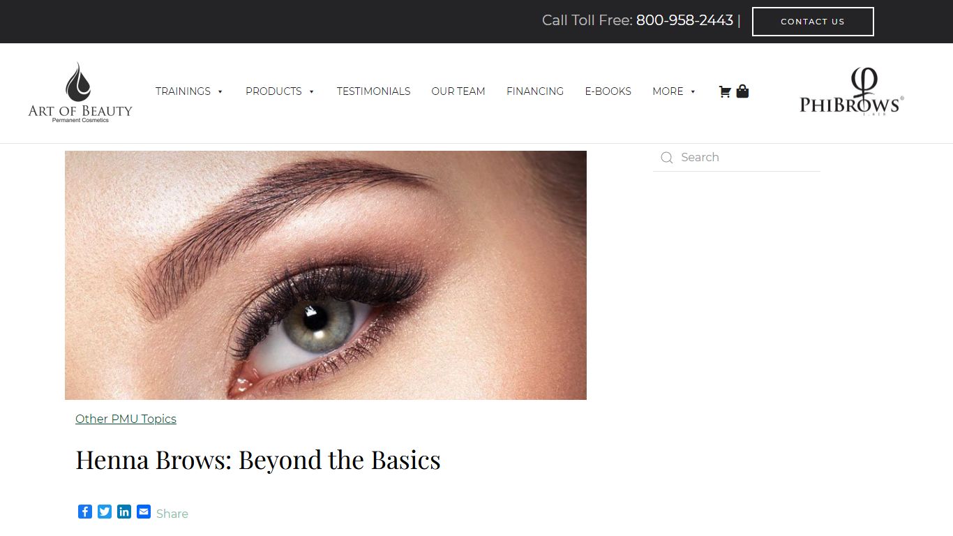 Henna Brows: Beyond the Basics – Art Of Beauty Blog